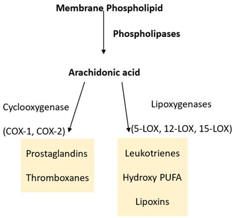 IJMS | Free Full-Text | Pro- and Anti-Inflammatory Prostaglandins and ...