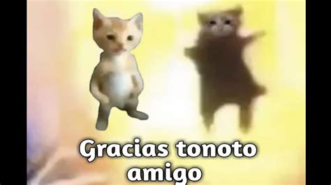 hola tonoto gracias mi amigo - YouTube