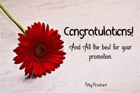 165 How to Write: Promotion Wishes – Congratulations Messages on ...