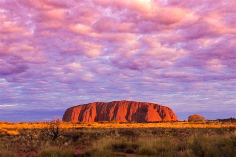 The Ultimate Aussie Experience: Reef, Outback & City - 10 Days | kimkim