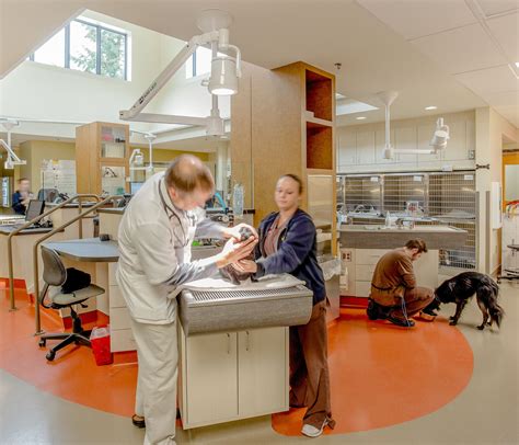 Parkway Veterinary | Lake Oswego, OR | R&H Construction | Home, Home ...