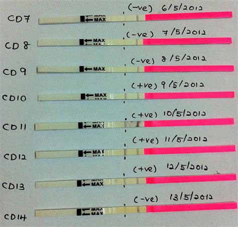 Ovulation Test Strip (Part 2)