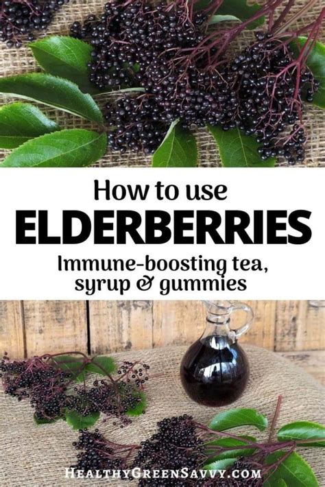 Health Benefits of Elderberries & Systems to Get Them