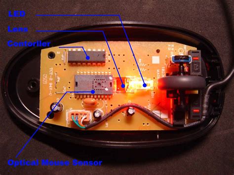 Wireless Mouse Parts Diagram