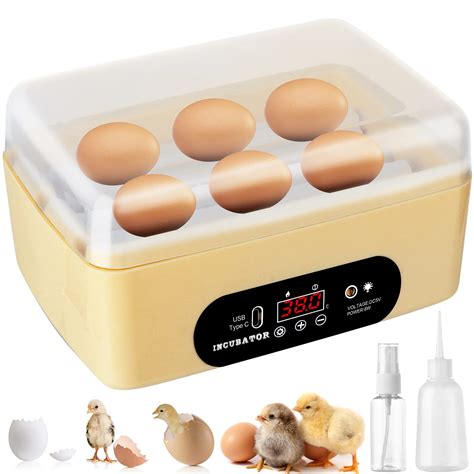 Buy Chicken Egg Incubator, Automatic Egg Hatching Incubator,4-6 Mini ...