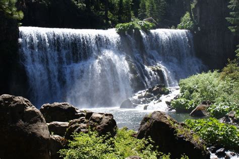 Best Hikes in Shasta-Trinity National Forest (CA) - Trailhead Traveler