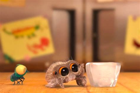 Watch: Lucas the Spider has been busy, meet his adorable new friend