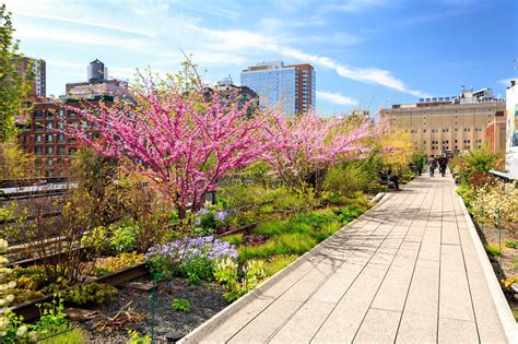 The High Line in New York - An Urban Elevated Park Overlooking NYC's ...