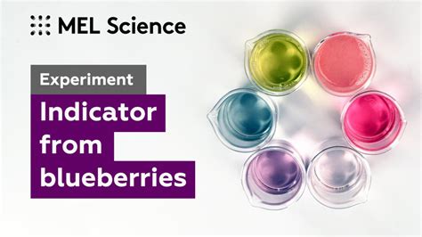 “Blueberries indicator” experiment - MEL Chemistry