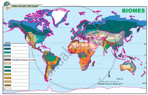 1) Various biome regions have been shown on the map. Considering the ...