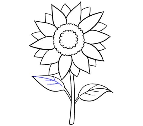 Sunflower Drawing Template at GetDrawings | Free download