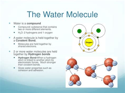 PPT - Physical and Chemical Properties of Water PowerPoint Presentation ...