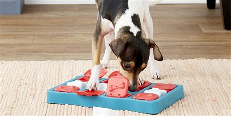 15 Best Dog Puzzle Toys - Challenging, Interactive Puzzle Toys for Dogs