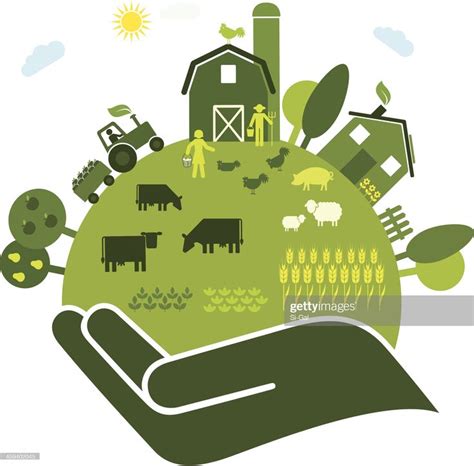 Organic farm | Clipart, Modèles de conception, Terre agricole