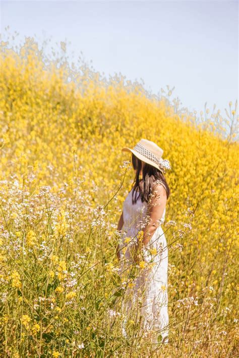 How to See the Chino Hills State Park Wildflowers (Mustard Blooms ...