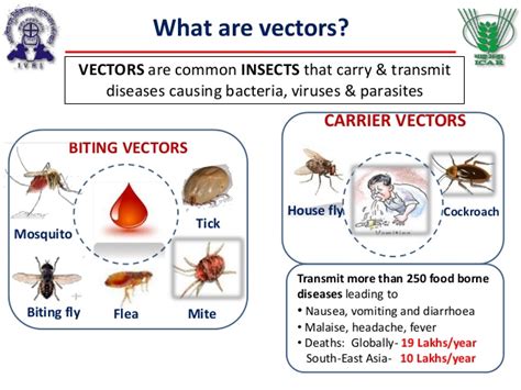 Vector-borne diseases & IVM