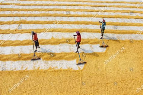 India Agriculture Based Country Most Rural Editorial Stock Photo ...