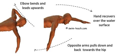 Beginner Swimming Drills For Freestyle | EOUA Blog