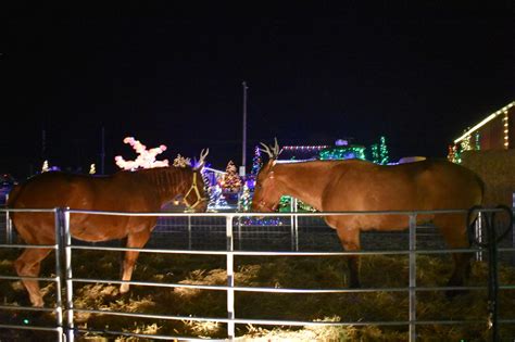 Christmas at Cross E Ranch - Utah's Adventure Family