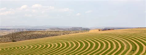 Contour Farming & Sponge Cities | Big Bear Engine Company