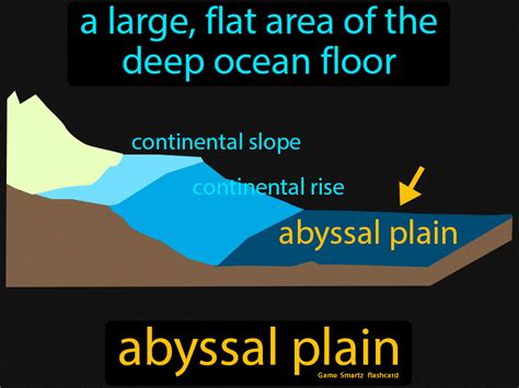 Abyssal Plain - INSIGHTS IAS - Simplifying UPSC IAS Exam Preparation