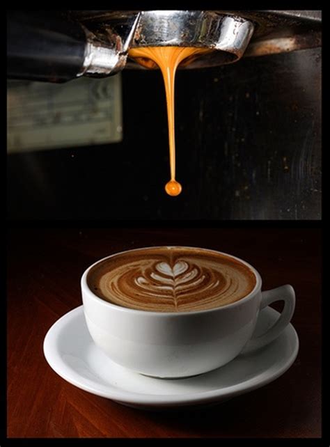 40 Beautiful Coffee Art Examples - Bored Art