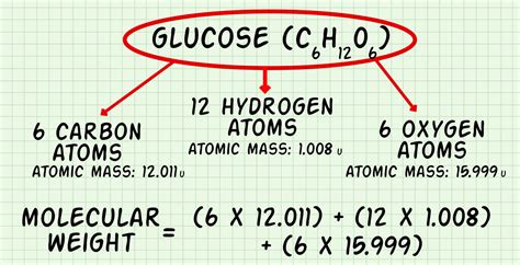 How to select the best molecular weight calculator - tfmindustrial.com