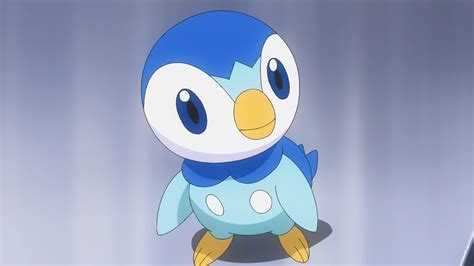 Dawn's Piplup | Pokémon Wiki | Fandom