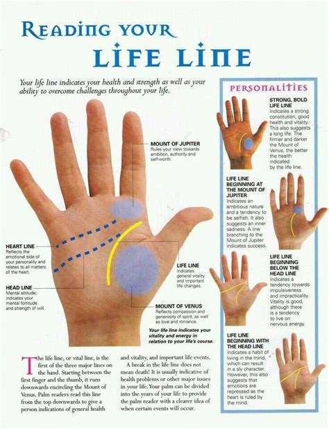 Palm reading #100%NumerologyLifePathGifts | Palmistry reading, Palm ...