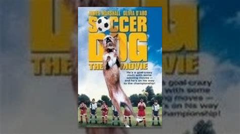 Soccer Dog - YouTube