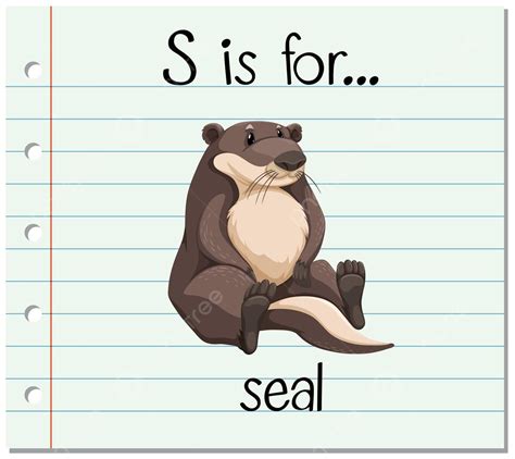 Flashcard Letter S Is For Seal Educaitonal Writing Mammal Vector ...