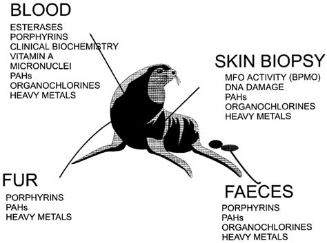 Biological materials obtainable by non-destructive methods in ...