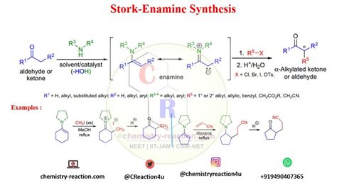 Stork Enamine Reaction Mechanism:PPT, PDF, Slideshare (Synthesis)