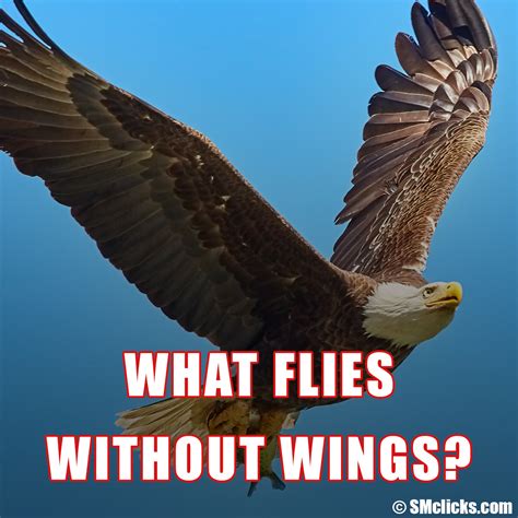 What flies without wings?