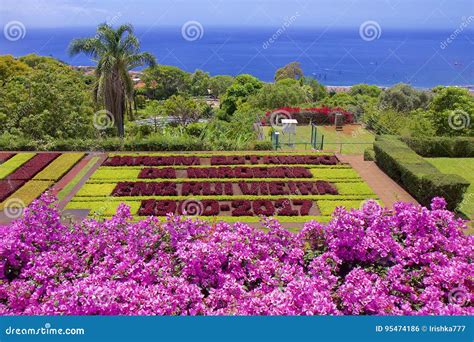 Botanical Garden in Funchal, Madeira, Portugal Editorial Photo - Image ...