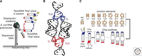 The Story of RNA Folding, as Told in Epochs