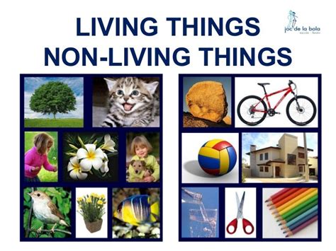 LIVING THINGS - NON-LIVING THINGS