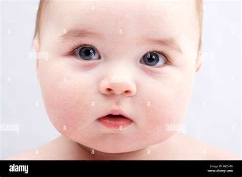 Chubby Baby Face Stock Photo - Alamy