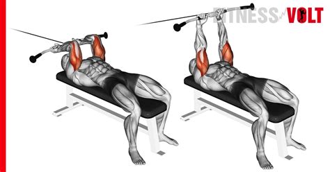 Cable Lying Triceps Extension Exercise: How-To, Variations and Video Guide