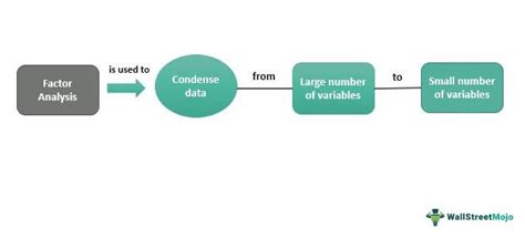 Factor Analysis - What is it, Types, Application, Example