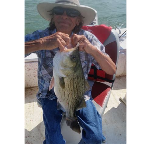 Lake Lewisville Fishing Report | Guide Wes Campbell