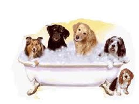 pet grooming clip art - Clip Art Library