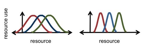 Resources and Competition | Biological Principles