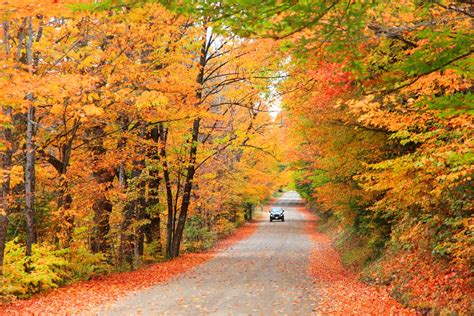 Where to Find the Best New Hampshire Fall Foliage in 2022! – Lake House ...