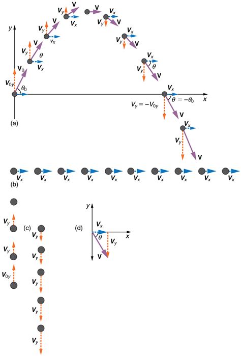 Projectile Motion | Physics