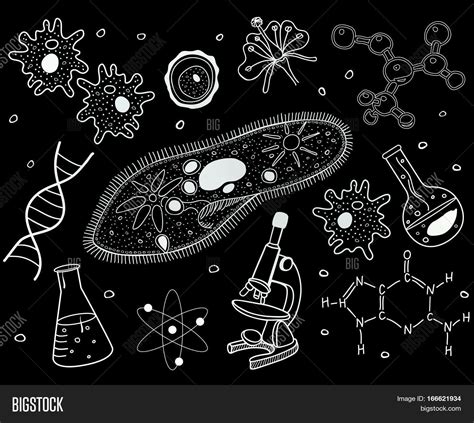 Biology Sketches On Vector & Photo (Free Trial) | Bigstock