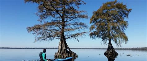 Great Dismal Swamp National Wildlife Refuge | Chesapeake, VA