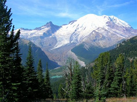 Sunrise Visitor Center | Visit Rainier