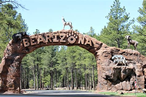 Bearizona Wildlife Park | Tonya Staab