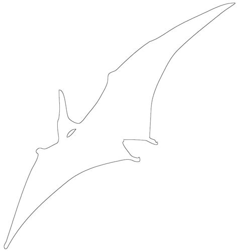 Pterodactyl Dinosaur Outline - Popular Dinosaur Outline